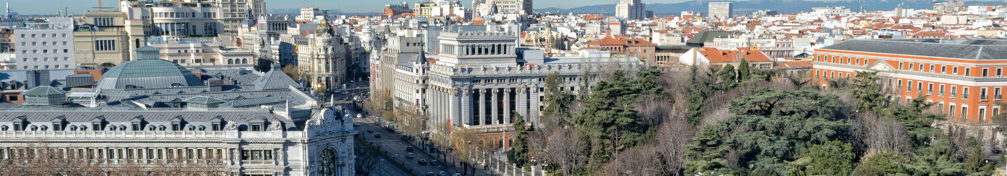 Díganos lo que busca en Madrid y lo encontraremos. VEINCO MANAGEMENT, S.L. en Madrid